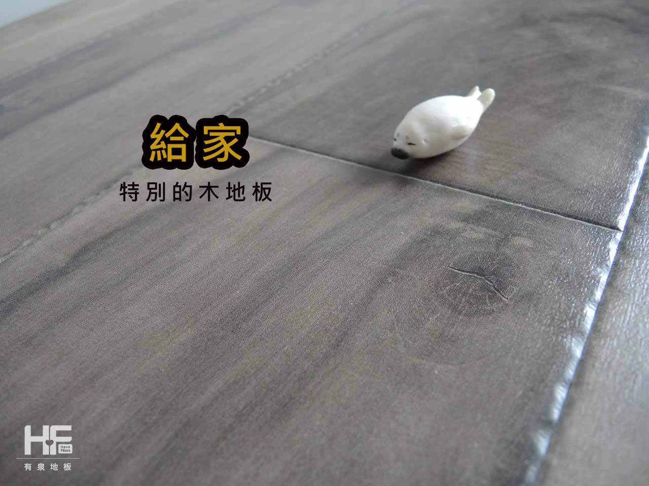 Kaindl超耐磨木地板 畢卡索淺胡P80132 (3)